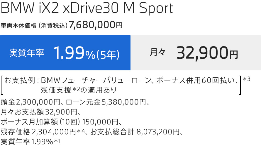 iX2 支払例